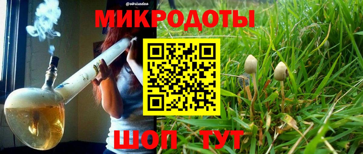 Галлюциногенные грибы мицелий Екатеринбург