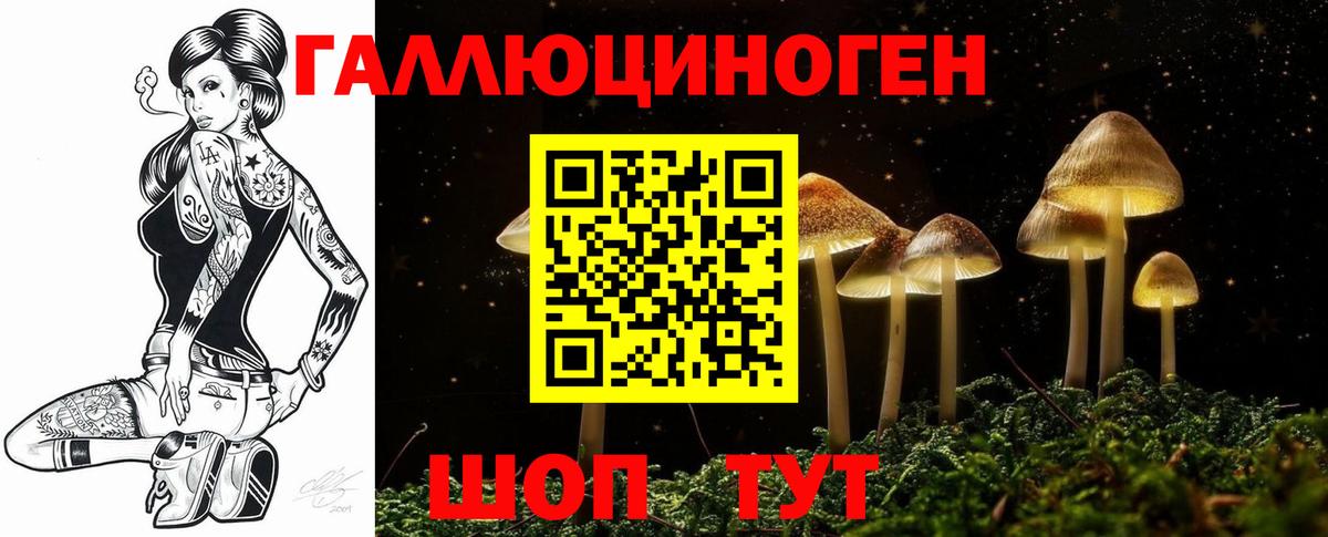 Псилоцибиновые грибы Psilocybine cubensis  Вход с VPN  Псилоцибиновые грибы Cubensis  Екатеринбург 